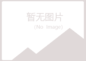 河池夏日能源有限公司